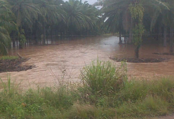 Ríos desbordados y comunidades incomunicadas por lluvias en Colón
