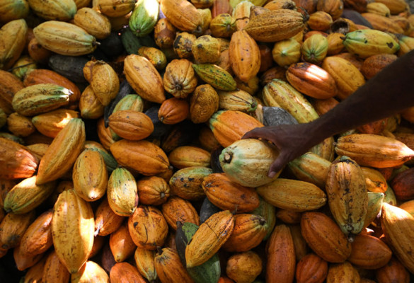 Brasil expande en 2014 su 'diplomacia agrícola' en África y América Latina