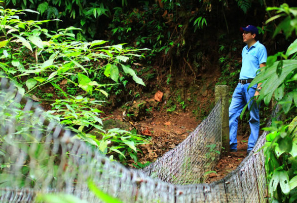 Panacam deslumbra a amantes de las aves