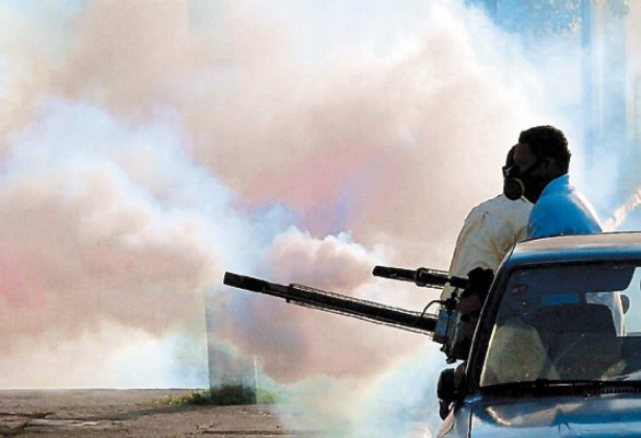 Intensa lucha contra el dengue en La Ceiba