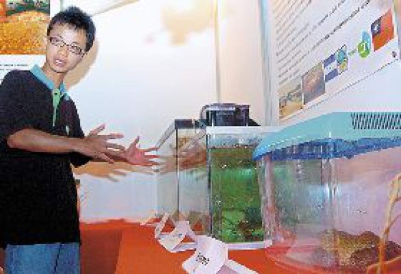 Ranas, la atracción de la Expo Taiwán