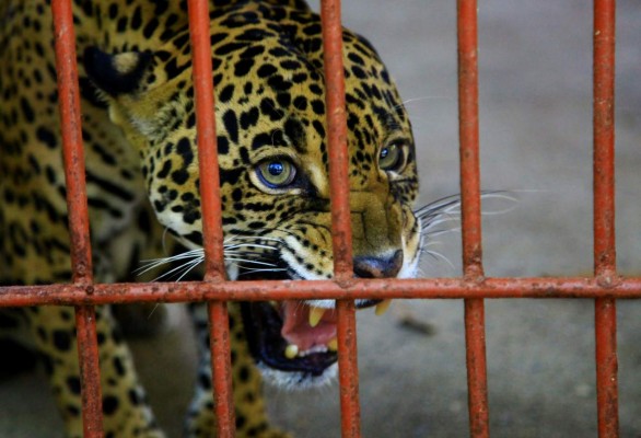 Honduras: En Puerto Cortés y Omoa innovan para atraer turistas