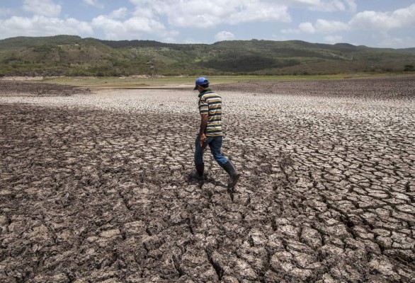 10 millones de centroamericanos afectados por sequía