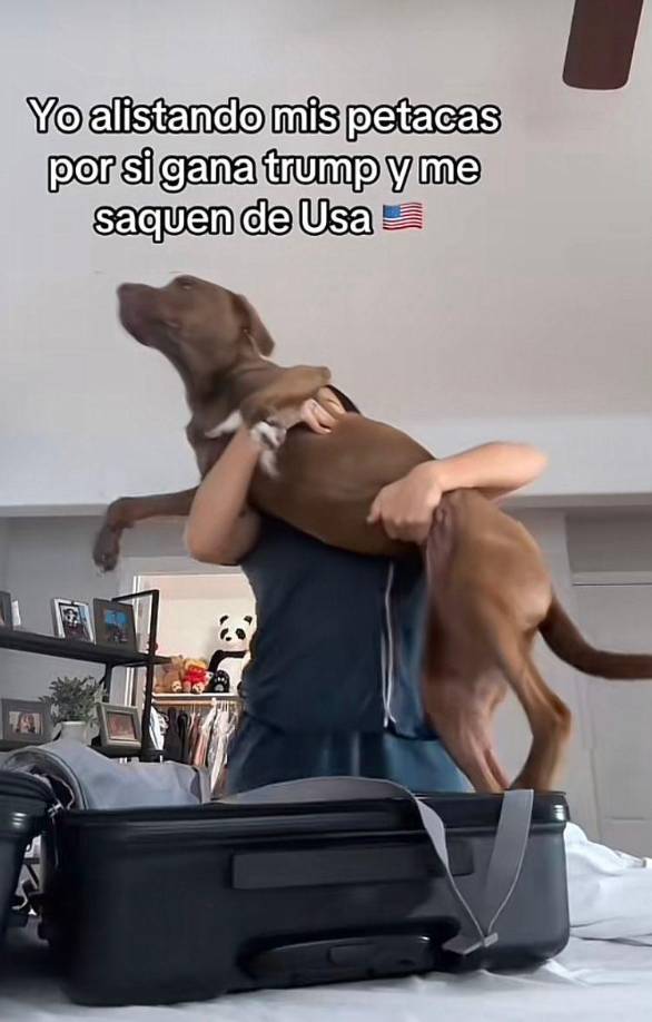 Los temas más hablados en los memes son sobre la inmigración y la deportación, lo que refleja la preocupación de cada hispano que actualmente vive en Estados Unidos.