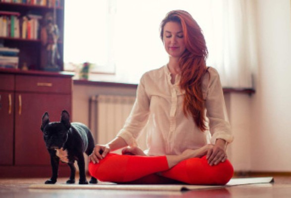 Yoga con animales, la nueva moda en Estados Unidos
