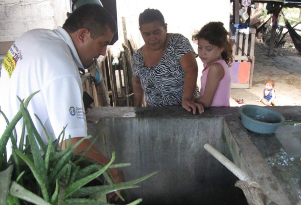 Piden unir fuerzas para destruir la plaga de zancudos en el valle de Sula