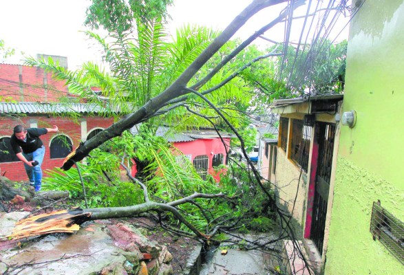 Bomberos rescatan a joven tras quedar soterrado en su casa