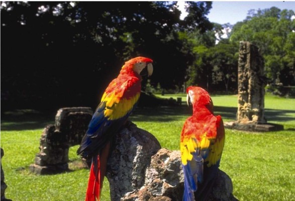 Honduras reabre turismo en una primera fase tras más de cinco meses de cierre