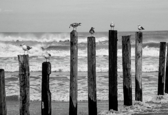 Cerca de 20.000 cruceristas atrapados en alta mar por culpa de huracán Harvey