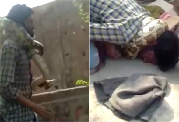 Video: Pitón estrangula a su domador en pleno show