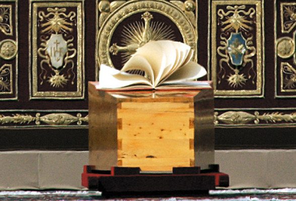 Beatificación de Juan Pablo II se en el mundo