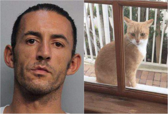 Deportan a indocumentado por matar un gato en Miami