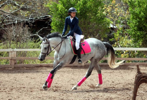 Norma Regina de Callejas vuelve a la luz
