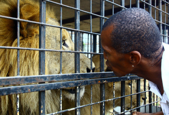 Dejó las playas por el circo