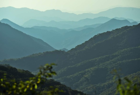 Pilotos del 'Chapo' fueron la clave para descubrir su escondite