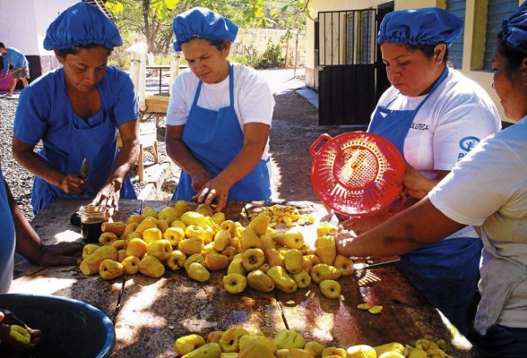 Compradores demandan sal industrial, ajonjolí y marañón