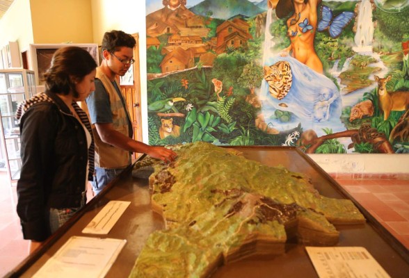 Un bosque de vida silvestre para recorrer y disfrutar