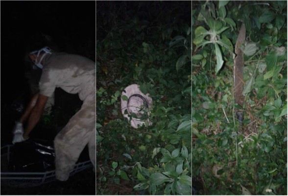 Anciano muere atacado por abejas africanizadas en Santa Bárbara