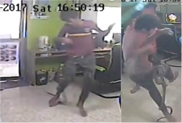 ¡Sorpresa! Una serpiente 'vuela' dentro de un café internet y muerde a un cliente