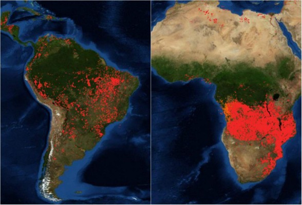 El segundo pulmón del mundo también arde en África