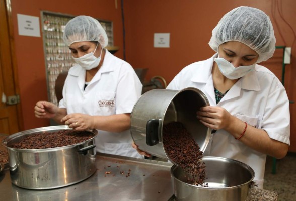 Parte del proceso de selección del grano de cacao.