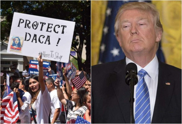 Nueva York y Washington demandarán a Trump por eliminar DACA