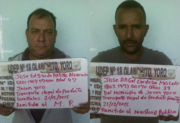 Caen dos hombres por supuesto tráfico ilegal de madera en Olanchito