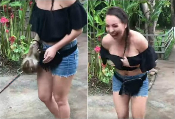 Chimpancé le baja la blusa a una turista en Tailandia