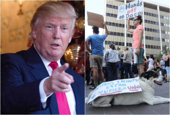 Trump envía mensaje a los 'Dreamers'