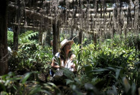 Trifinio Fraternidad, nueva Reserva de la Biosfera de la Unesco