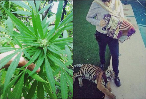 La 'guerra' de los narcos en las redes sociales