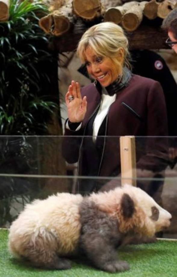 París. Panda. La primera dama francesa, Brigitte Macron, bautizó a una cría de oso panda con el nombre de Yuan Meng.