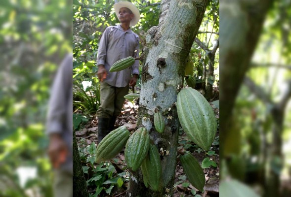 Desde hoy inicia el encuentro de negocios rurales
