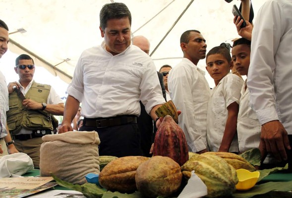 Jutiapa producirá el mejor chocolate de Centroamérica