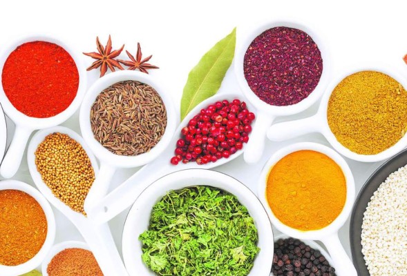 10 hierbas curativas más efectivas para la salud