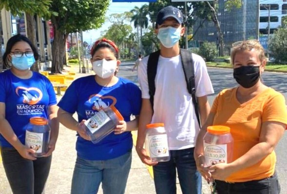 Honduras, paraíso del maltrato animal