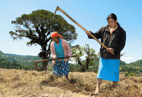 Honduras: La pobreza tiene rostro de mujer
