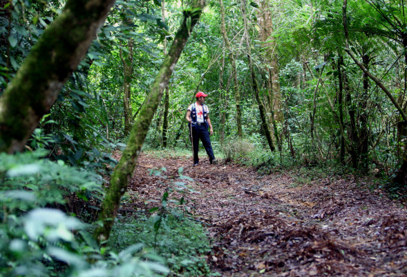 Unión Europea contribuirá para protección de bosques de Honduras