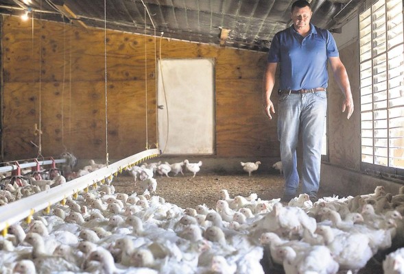 La carne sin antibióticos gana terreno en Estados Unidos