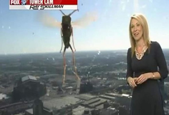 La presentadora quedó impactada al ver al animal.