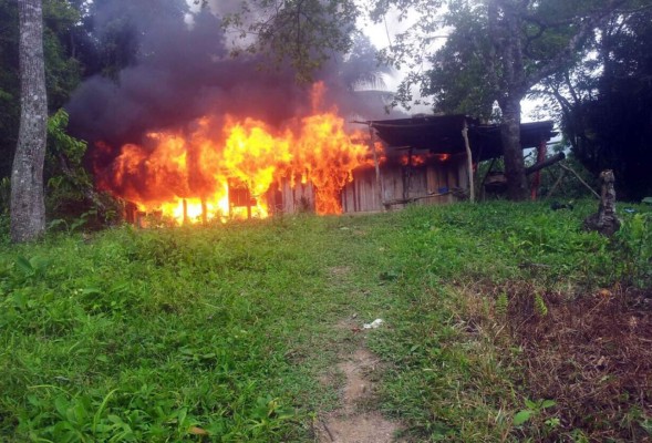Destruyen narcolaboratorios e incineran droga en el norte de Honduras