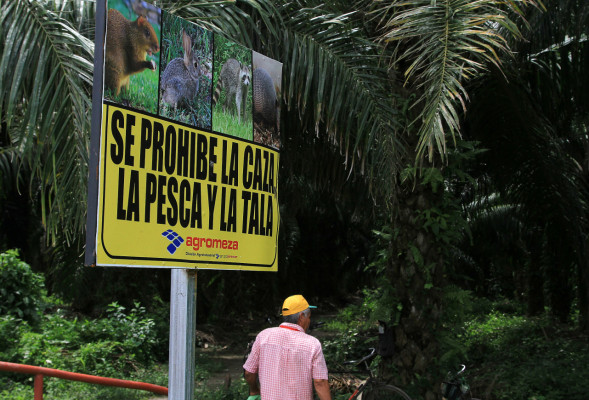 Protegen la fauna en La Lima