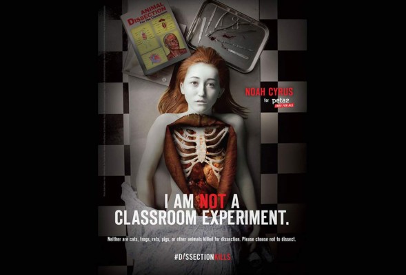 La hermana de Miley Cyrus protagoniza impactante campaña de Peta