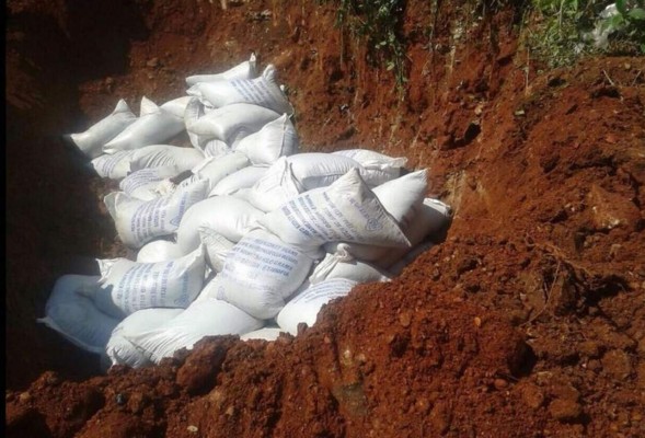 Honduras entierra frijoles importados de Etiopía