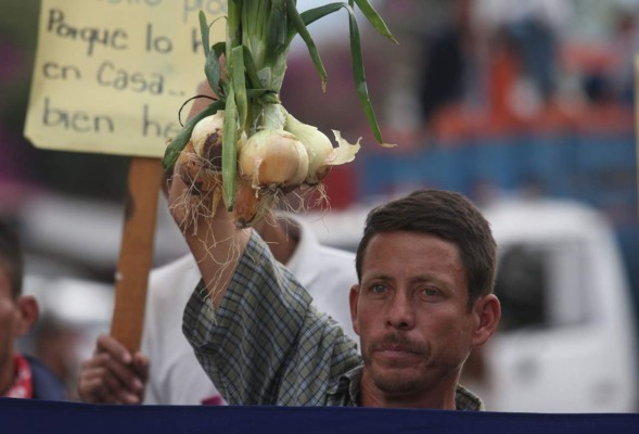 Próximo martes habrá acuerdo con cebolleros