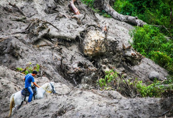 Sector noroeste ya sufre por la devastación en El Merendón