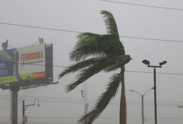 Limpieza de canales evitó inundaciones en las zonas bajas de San Pedro Sula