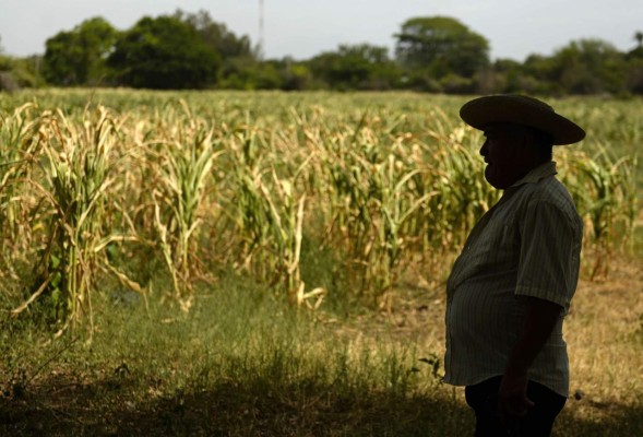 El Salvador a un paso del estado de emergencia por sequía