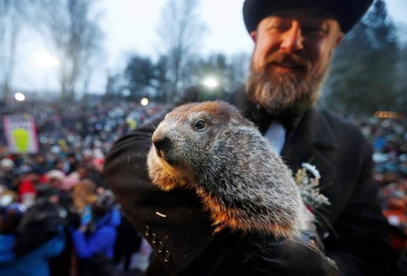 La marmota Phil predice que la primavera llegará pronto a EEUU