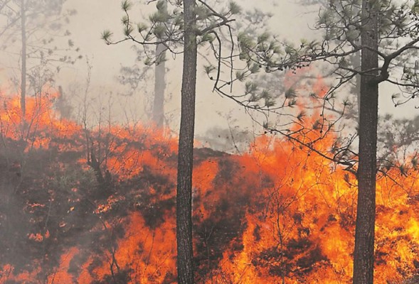 Tegucigalpa sigue sitiada por los incendios: el fin de semana hubo tres más